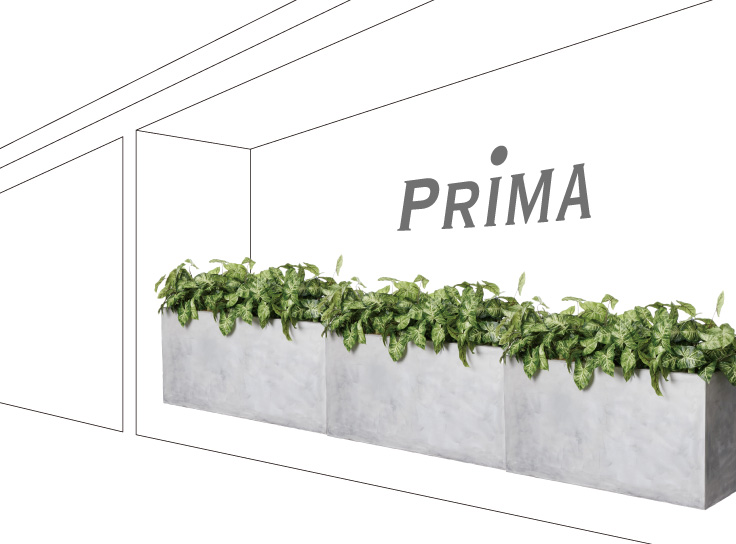エントランスの植栽とグリーンパーテーションのレイアウト事例(オフィス・店舗の室内植栽)