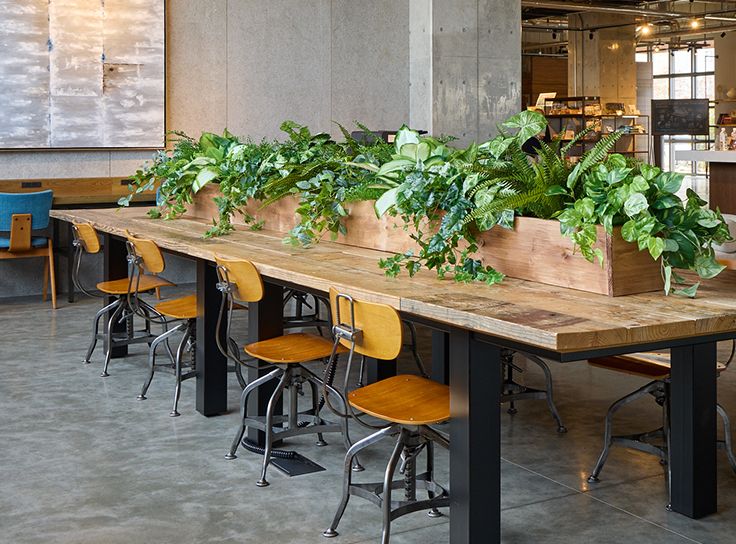 5号インナーポットを什器にミックスしたおしゃれ植栽ディスプレイ