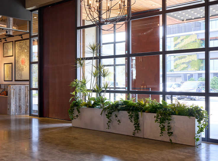 6号インナーポットのコーデ例、高低差で目隠し効果を演出