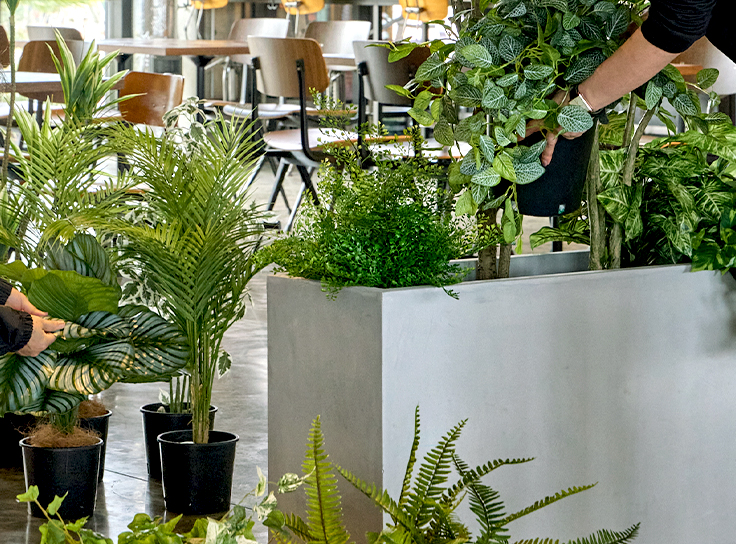 インナーポットのバリエーションと植栽アイデア、オフィスや店舗・外構向け