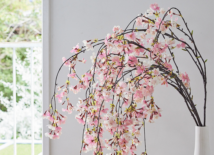 代表的な桜の品種と、それぞれの魅力