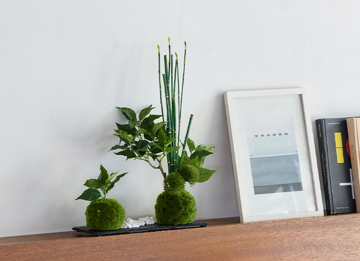 葉桜に苔玉が爽やかなフェイクの盆栽アレンジメント